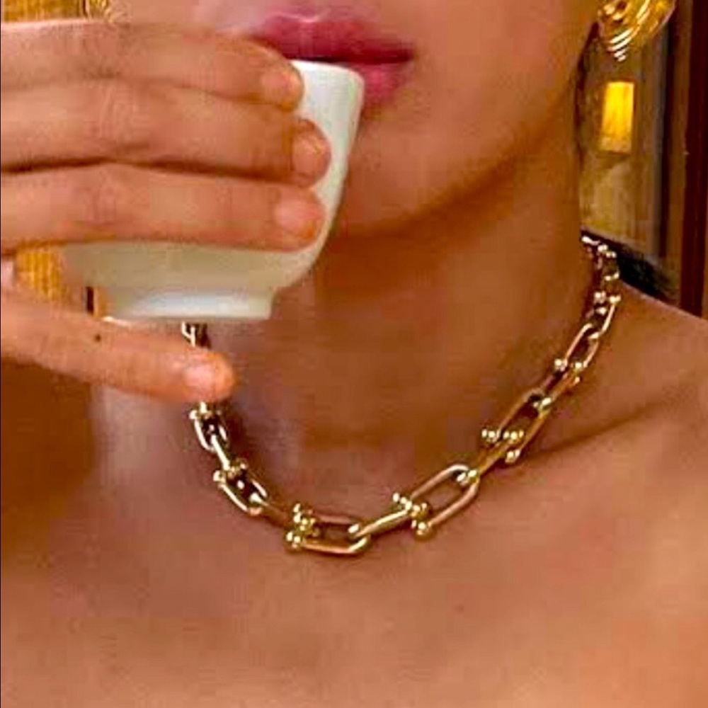 Gold Hardware Graduated Link U Necklace